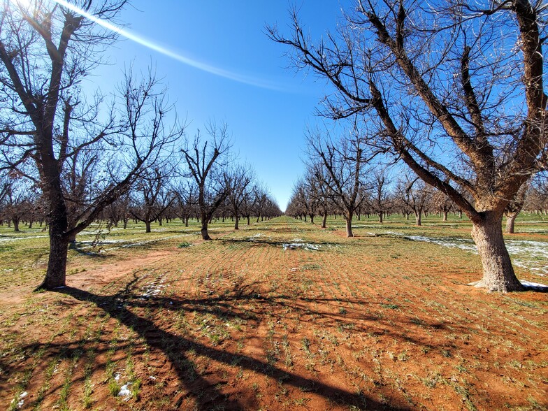 0 County Road 319, Seminole, TX for sale - Primary Photo - Image 1 of 65