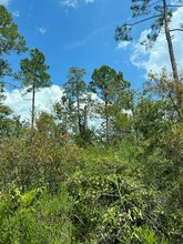 Owa Pass, Crawfordville, FL for sale Building Photo- Image 1 of 6