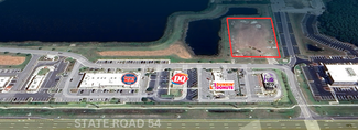 More details for Aprile Dr, Lutz, FL - Retail for Rent