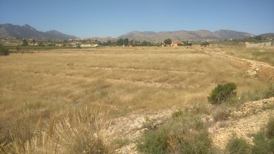 Land in Novelda, Alicante for sale Site Plan- Image 1 of 3