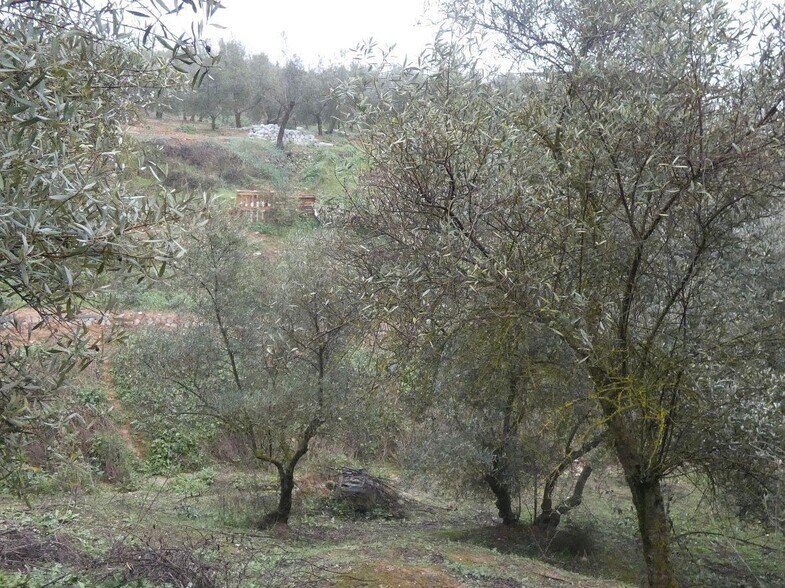 Land in Peligros, Granada for sale - Building Photo - Image 2 of 28