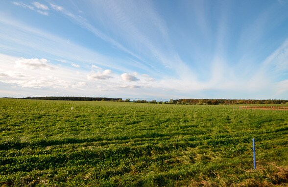 Feddan Farm, Forres for sale Primary Photo- Image 1 of 1