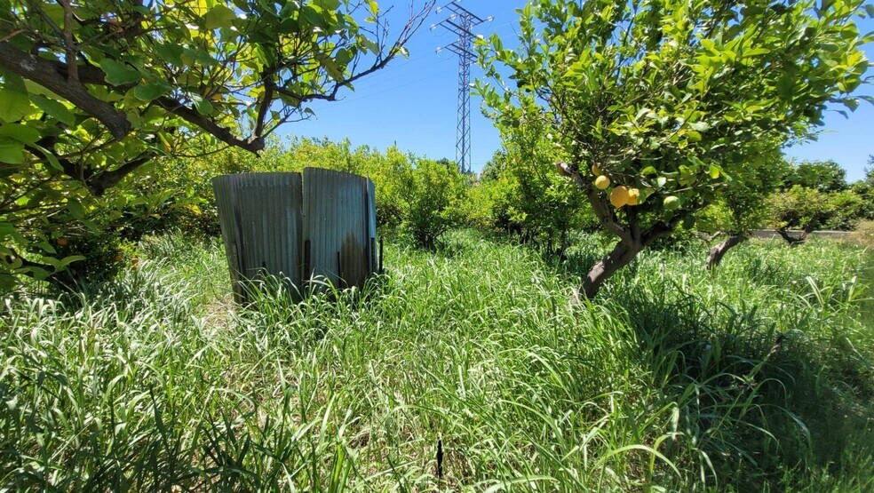 Vereda del Rincón del Gallego, S/N, Murcia, Murcia for sale - Primary Photo - Image 1 of 17