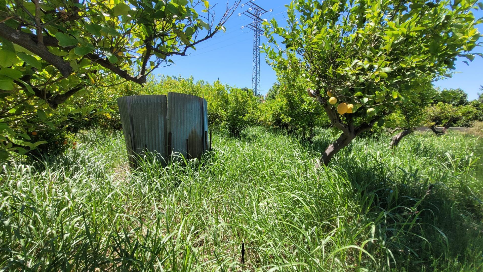 Vereda del Rincón del Gallego, S/N, Murcia, Murcia for sale Primary Photo- Image 1 of 18