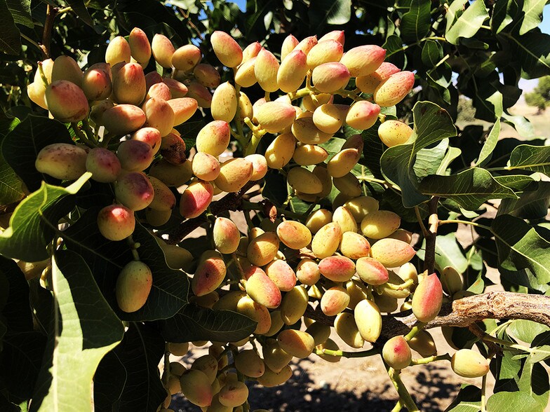 Hwy 138 (Ave D) And 240st West, Neenach, CA 93536 UK