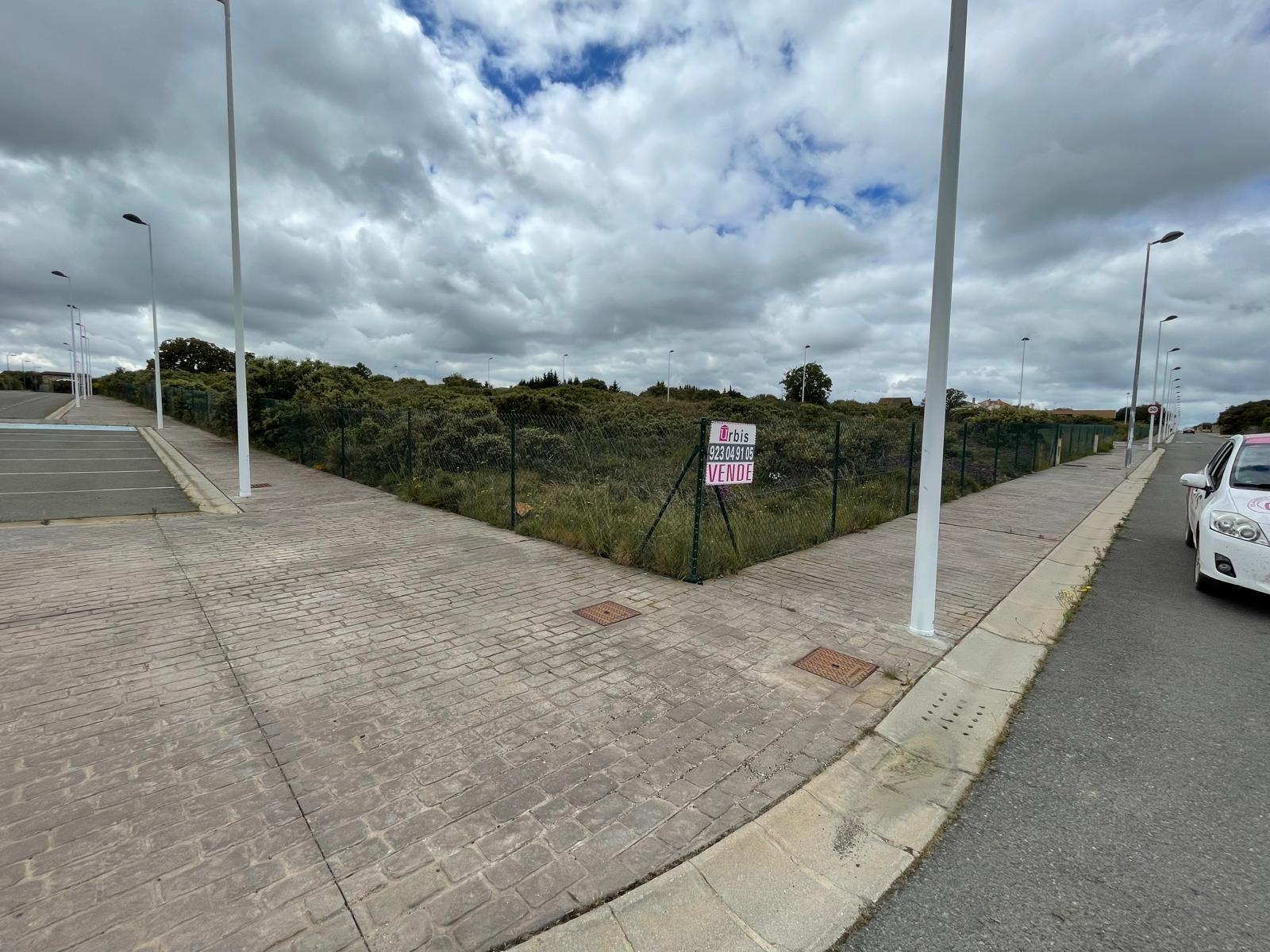 Land in Buenavista, Salamanca for sale Primary Photo- Image 1 of 8