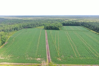 TBD Pelham Rd, Watha, NC - aerial  map view - Image1