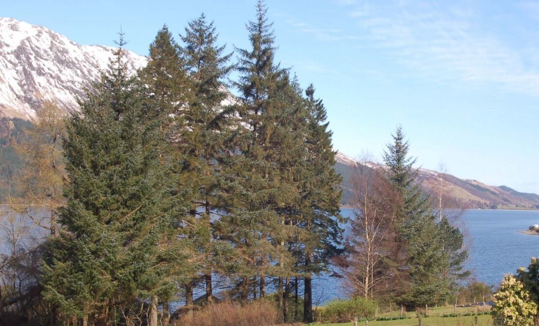 Letter Finlay, Spean Bridge for sale Primary Photo- Image 1 of 1