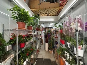 Retail in Barcelona, Barcelona to rent Interior Photo- Image 1 of 9