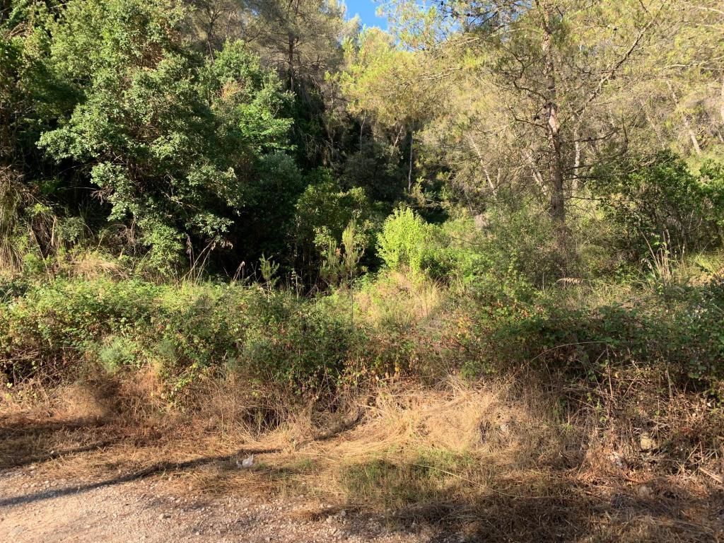 Land in Olivella, Barcelona for sale Floor Plan- Image 1 of 6