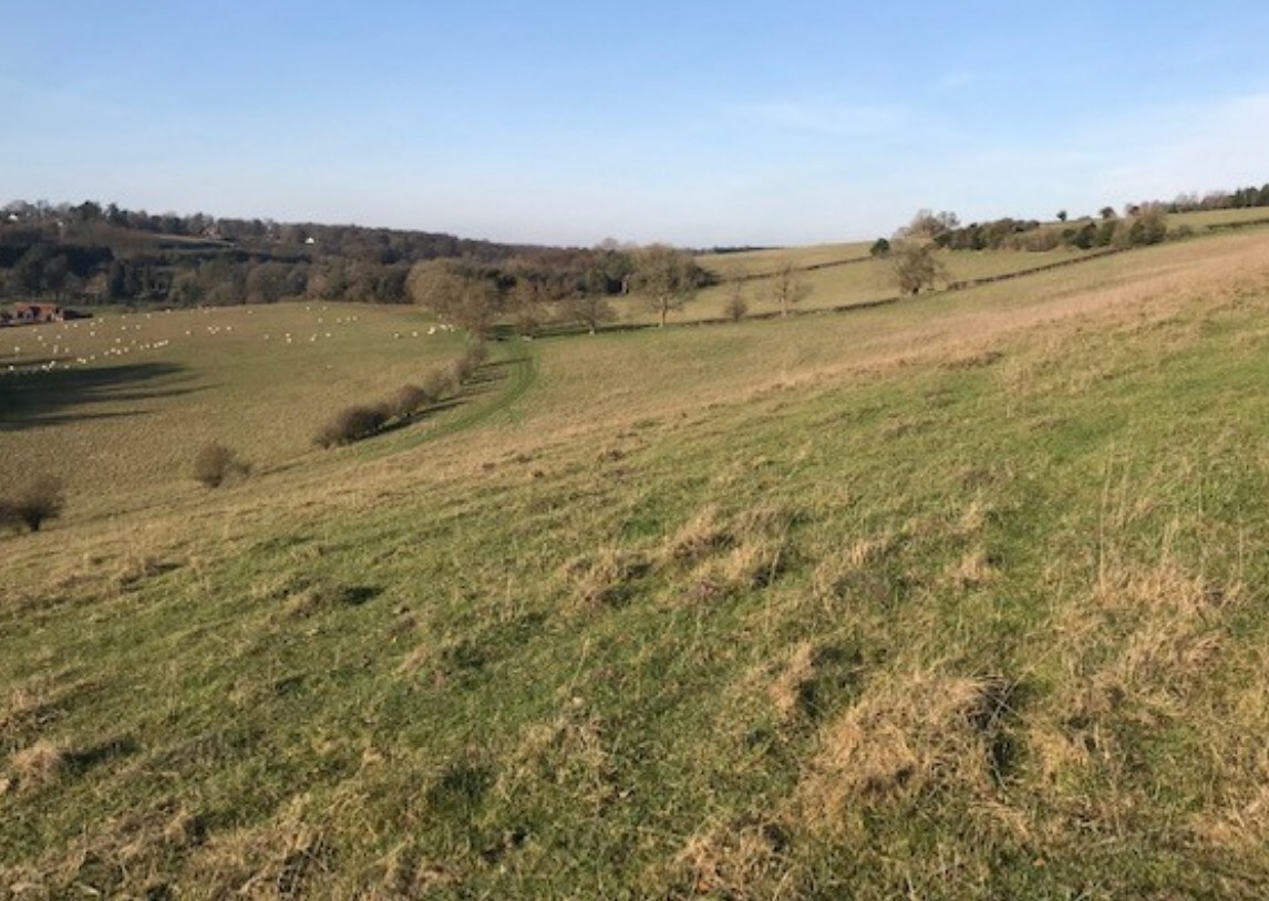 Lot 3 Mundaydean Ln, Marlow for sale Primary Photo- Image 1 of 1