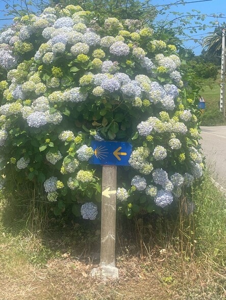 Calle del Soto de Luiña, 23, Cudillero, Asturias for sale - Building Photo - Image 3 of 3