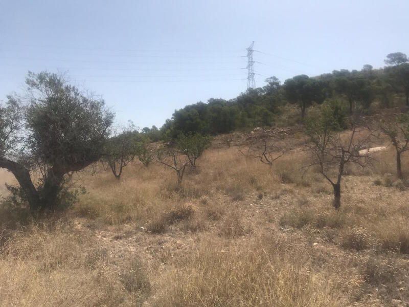Poste, 165, Abanilla, Murcia for sale Primary Photo- Image 1 of 12