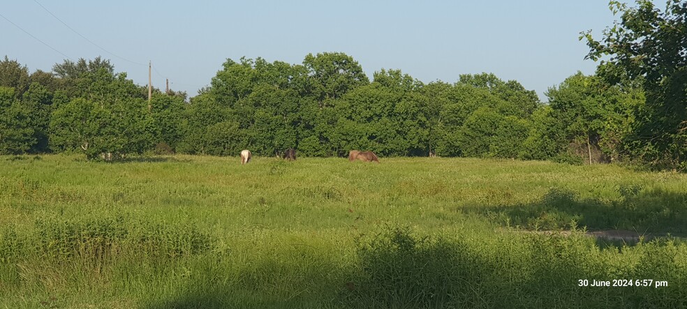 28826 FM 1462 Rd, Damon, TX for rent - Primary Photo - Image 1 of 44