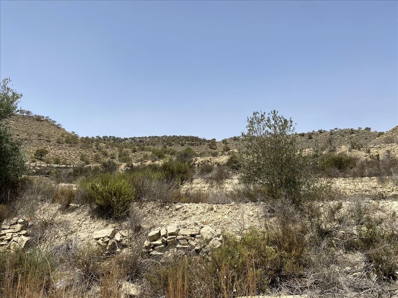 Camino del Algarrobo, 7, Abanilla, Murcia for sale - Site Plan - Image 3 of 13