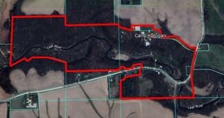 More details for 6903 White Eagle Rd, Leaf River, IL - Land for Sale