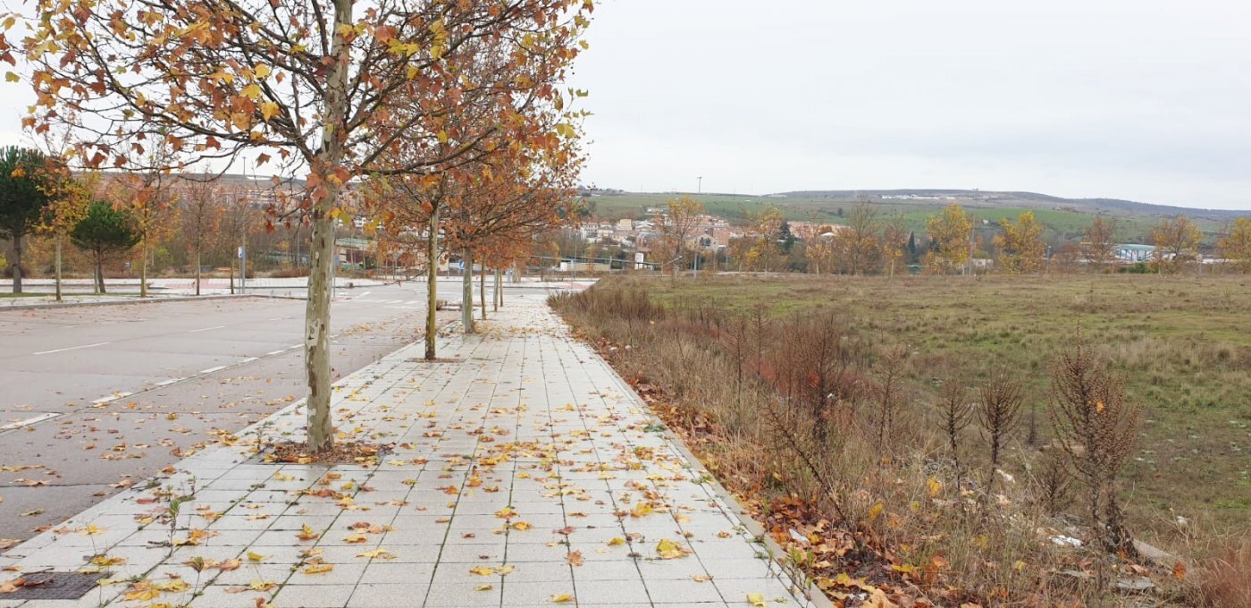 Land in Salamanca, Salamanca to rent Primary Photo- Image 1 of 12