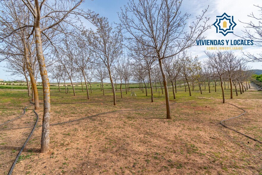 Land in Padul, Granada for sale - Building Photo - Image 3 of 50
