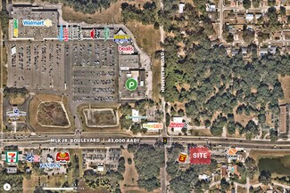 More details for 11909 E Dr Martin Luther King Jr Blvd, Seffner, FL - Land for Rent