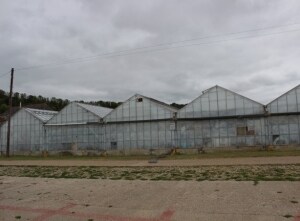 Rogers Ln, Findon for sale Building Photo- Image 1 of 1