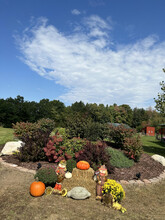 4435 Imlay City Rd, Attica, MI - aerial  map view - Image1