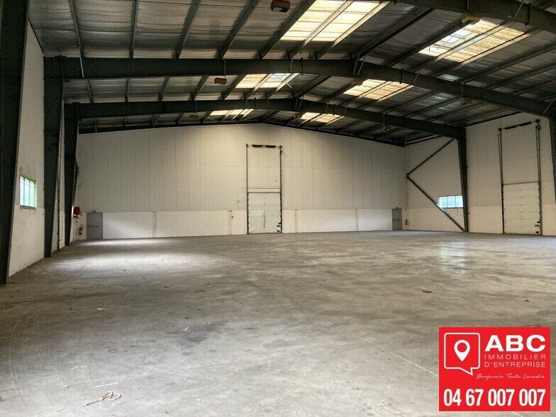 Light Industrial in Mauguio to rent - Interior Photo - Image 1 of 4