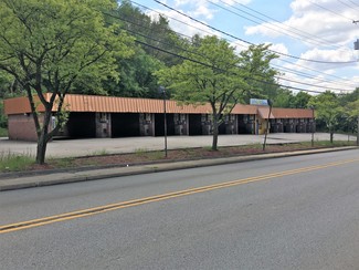 More details for 509 Rodi Rd, Pittsburgh, PA - Speciality for Sale