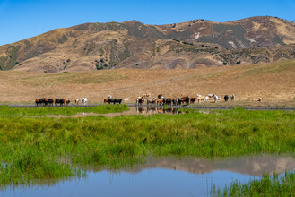 48400 Reliz Canyon Rd, Greenfield, CA for sale Primary Photo- Image 1 of 13