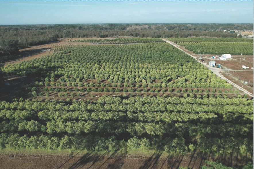 101 Thomas Demps Ln, Perry, FL for sale - Aerial - Image 3 of 5