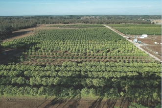 101 Thomas Demps Ln, Perry, FL - AERIAL map view - Image1