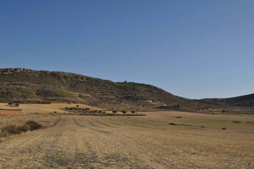 Land in Jumilla, Murcia for sale - Aerial - Image 1 of 11