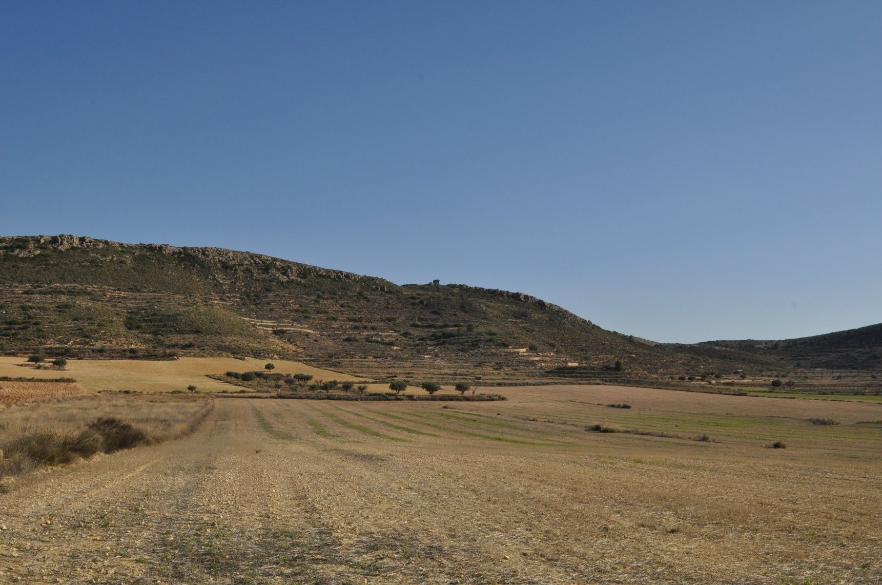 Land in Jumilla, Murcia for sale Aerial- Image 1 of 12