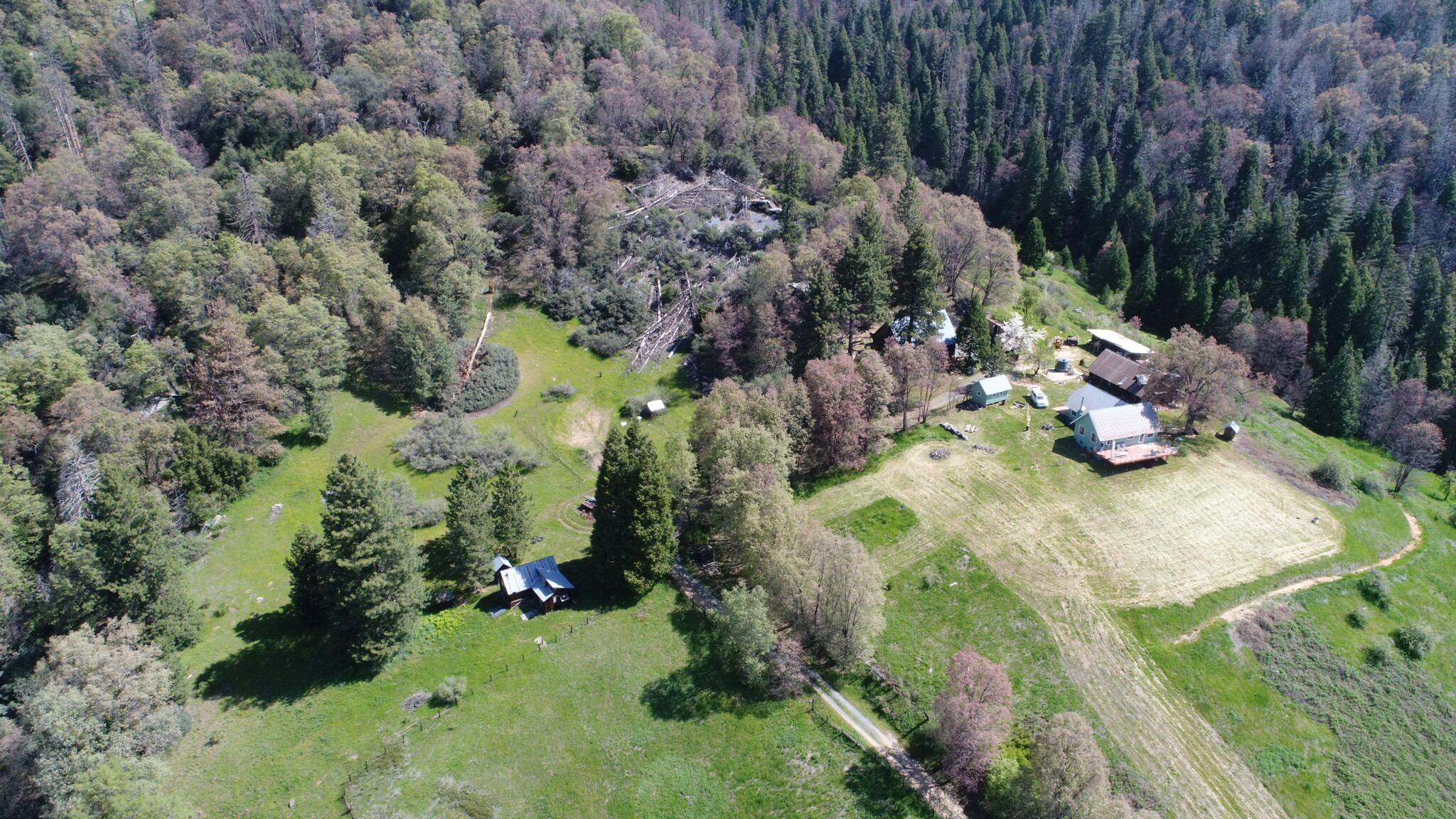 43267 Bear Creek Rd. D, Springville, CA for sale Primary Photo- Image 1 of 7