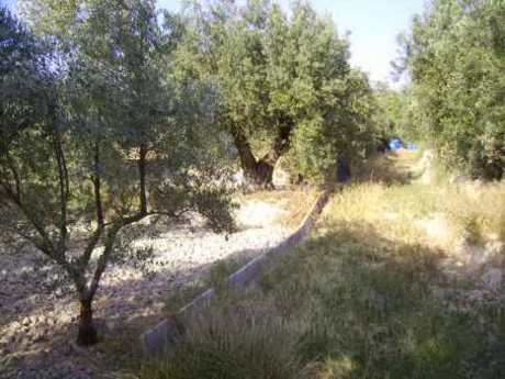 Land in Calasparra, Murcia for sale - Building Photo - Image 2 of 3