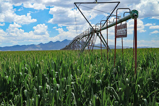 More details for RUCKER CANYON ROAD FARM, Elfrida, AZ - Land for Sale