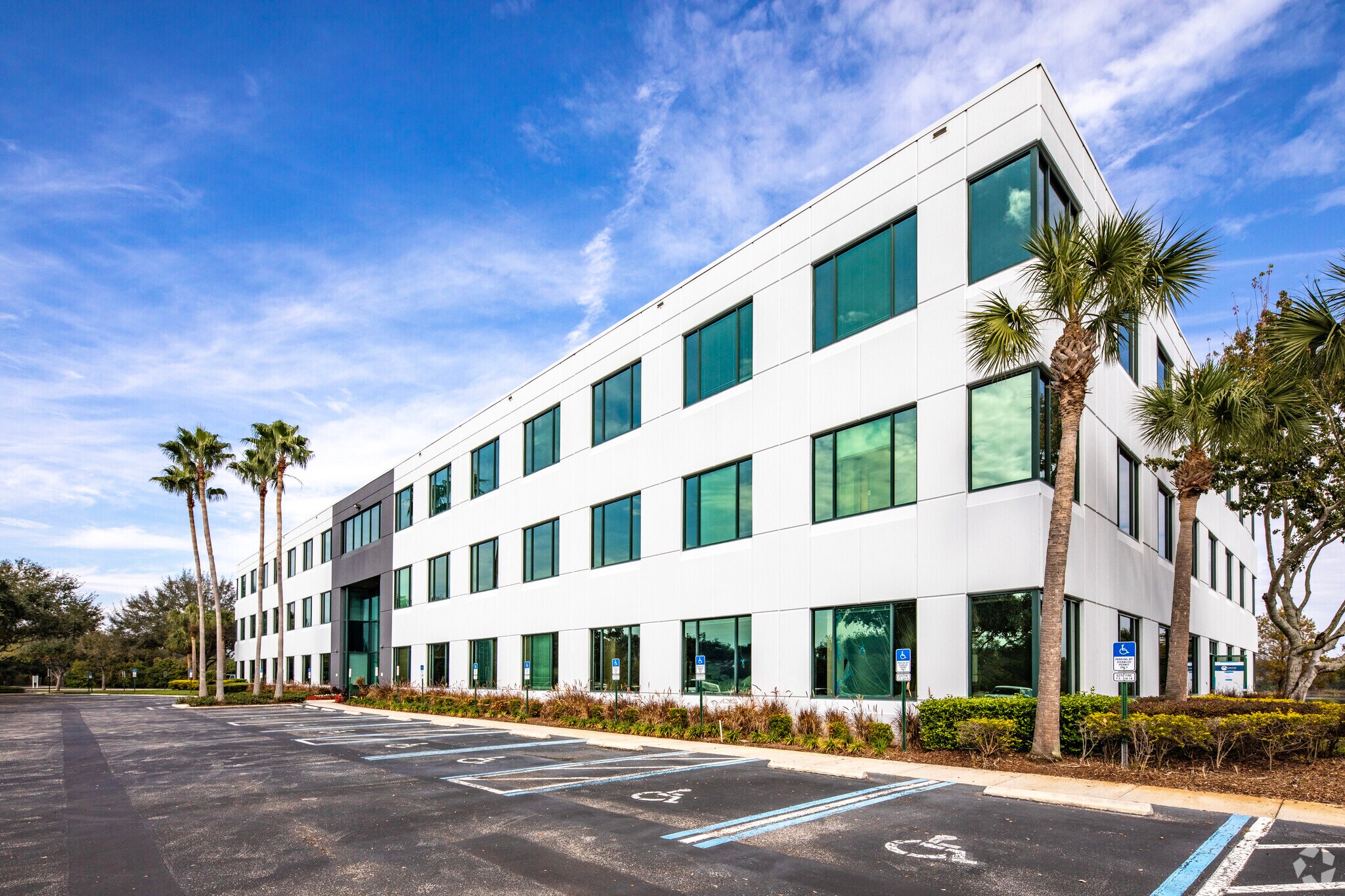 9009-9119 Corporate Lake Dr, Tampa, FL to rent Building Photo- Image 1 of 10