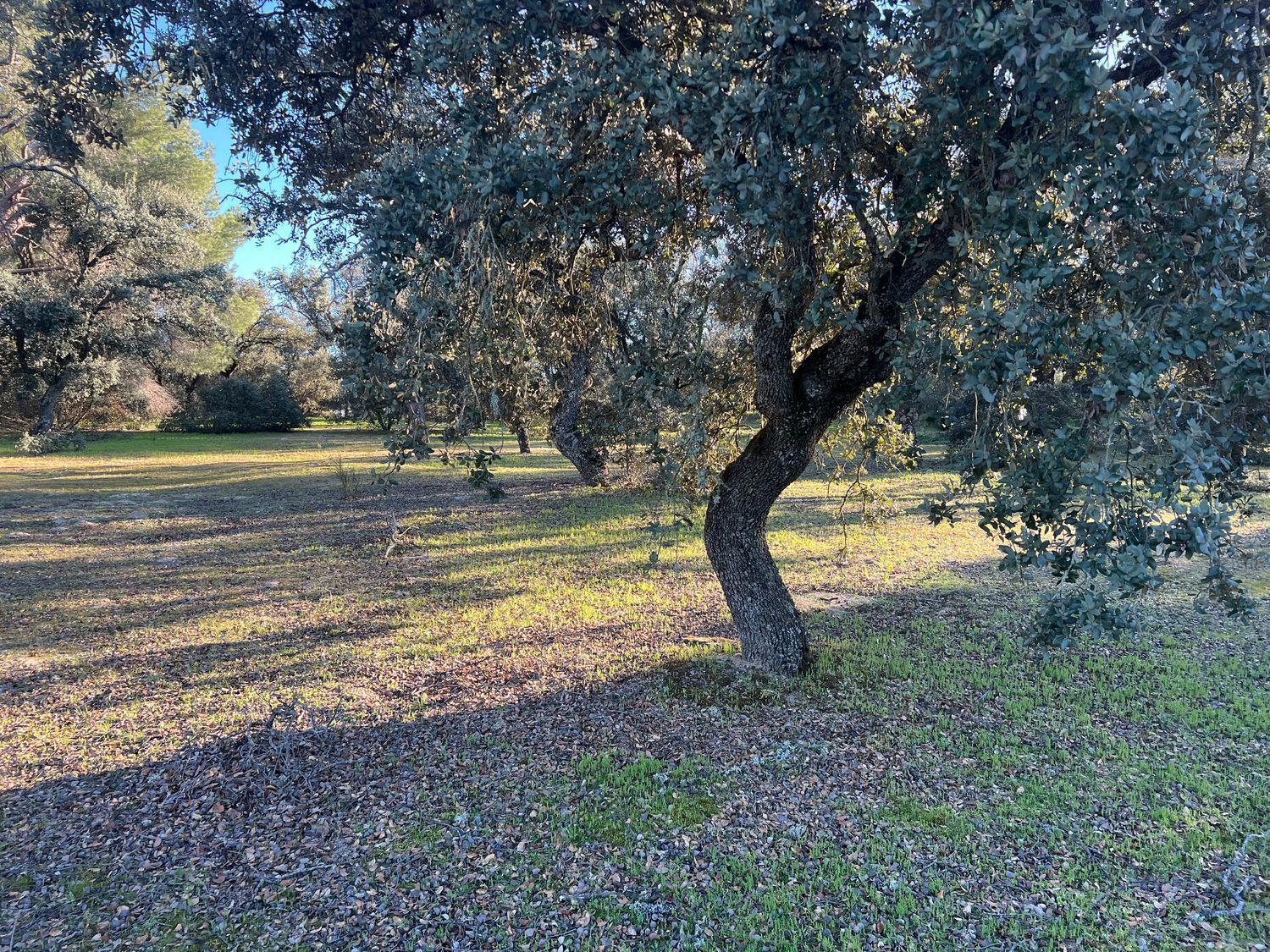 Build-to-Rent in Madrid, Madrid for sale Other- Image 1 of 4