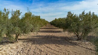 More details for Parcela, 16, Crevillent - Land for Sale