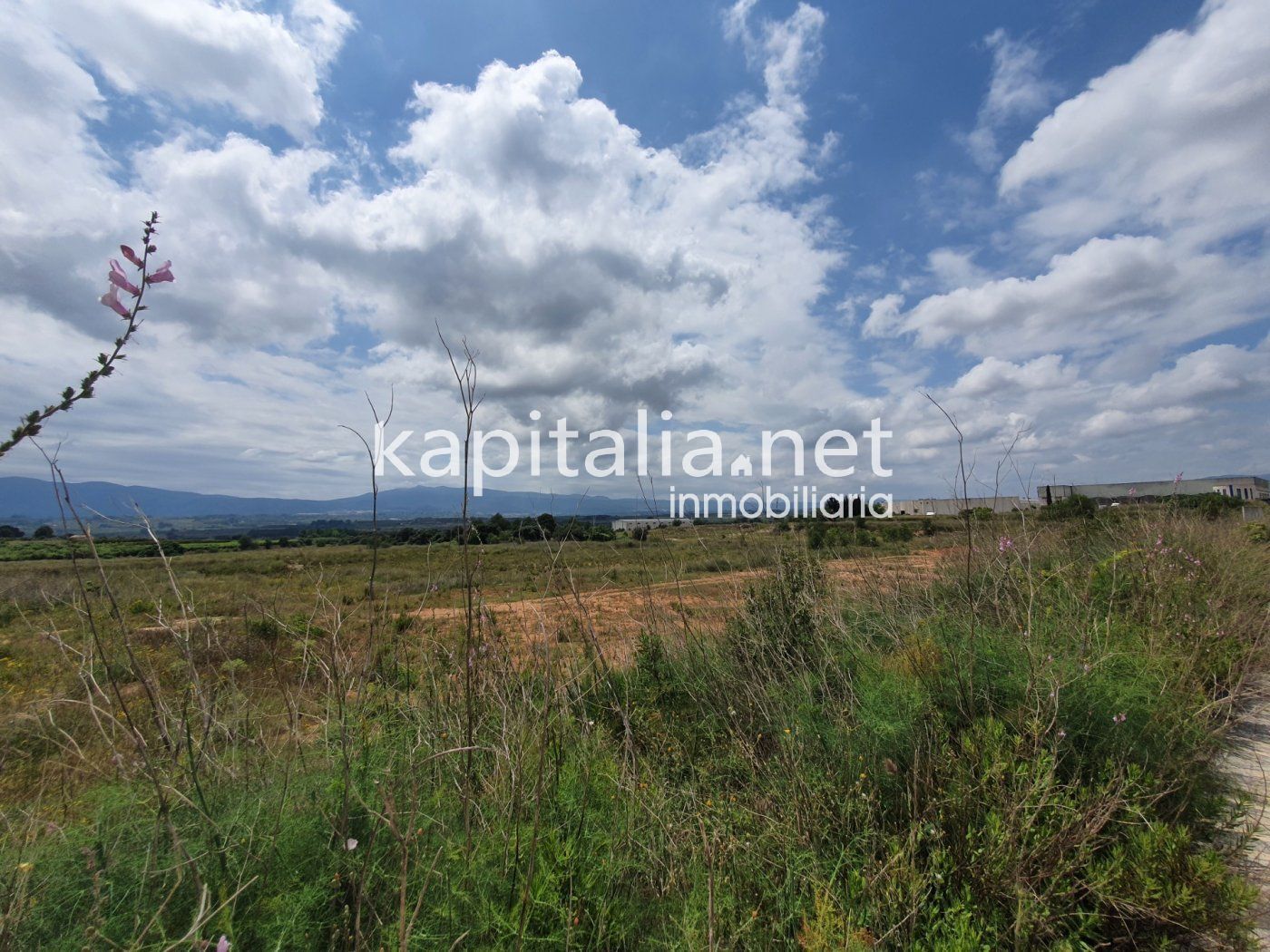 Industrial in L'Olleria to rent Building Photo- Image 1 of 5