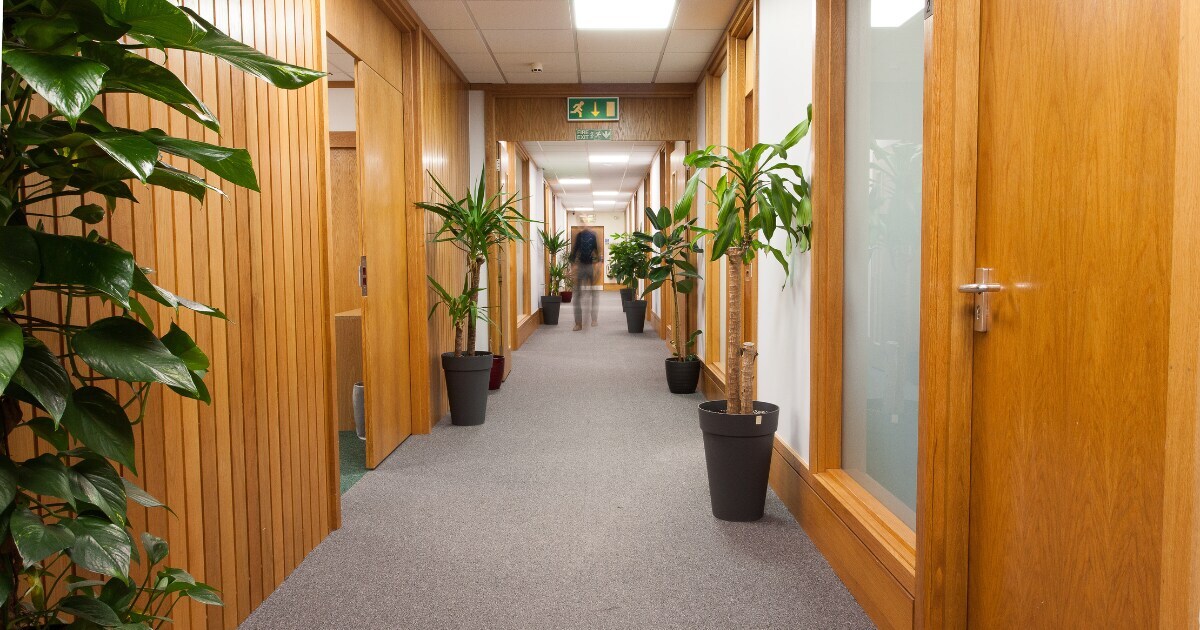 Beechwood Park, Inverness to rent Interior Photo- Image 1 of 6