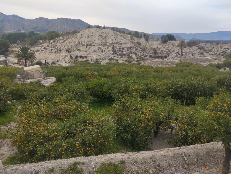 Land in Ulea, Murcia for sale - Aerial - Image 2 of 12