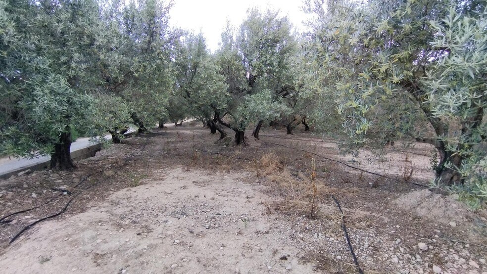 Land in Calasparra for sale - Building Photo - Image 2 of 16