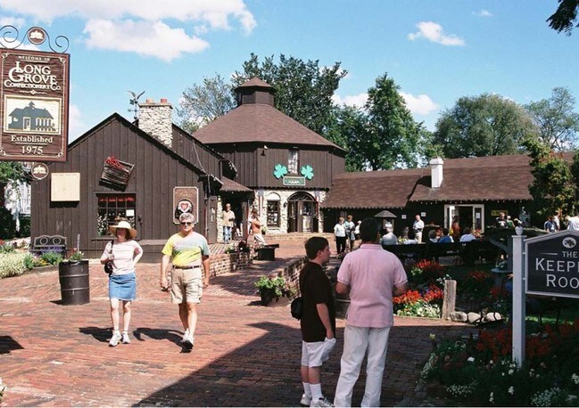 More details for 224-234 Robert Parker Coffin Rd, Long Grove, IL - Office, Retail to Rent