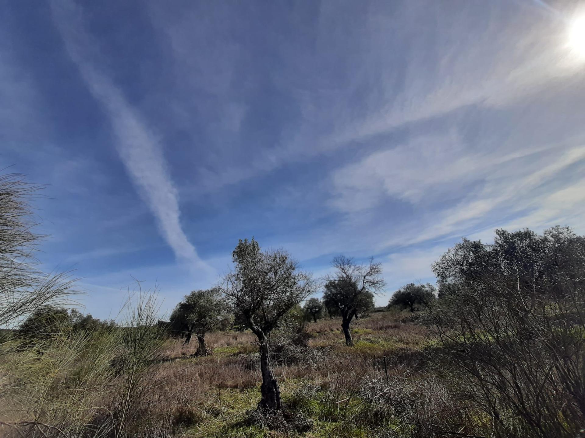 Land in Cáceres, Cáceres for sale Primary Photo- Image 1 of 3