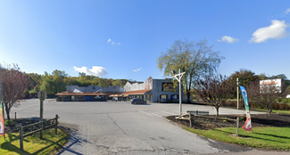 More details for 924 W Penn Ave, Robesonia, PA - Retail for Sale