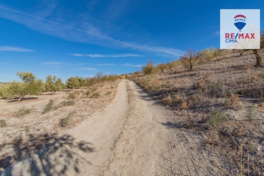 de Polígono Parcial, 2, Alhama de Granada, Granada for sale - Building Photo - Image 2 of 55
