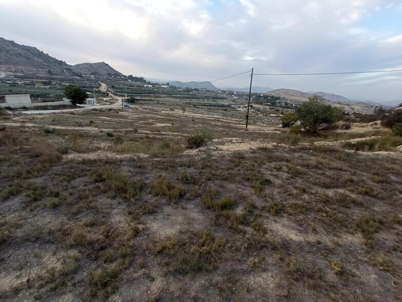 Rincón de Borisa, Aspe Pedanias, Alicante, Alicante for sale - Aerial - Image 1 of 13