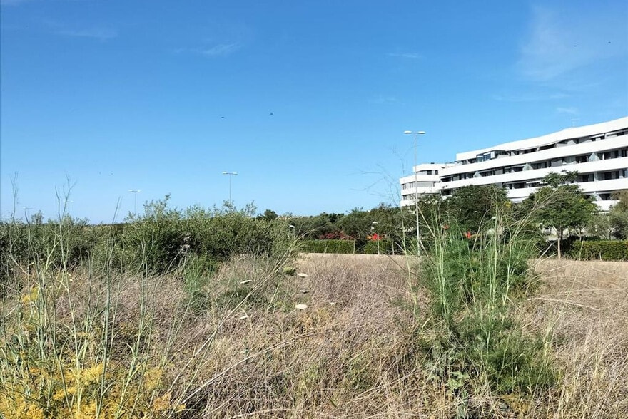 Carretera de Palomares, Mairena del Aljarafe, Sevilla for sale - Primary Photo - Image 2 of 38