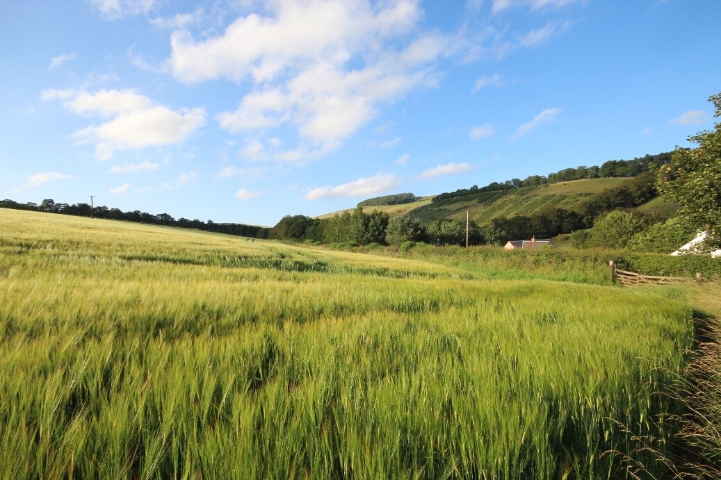 Carfraemill, Lauder for sale Primary Photo- Image 1 of 1