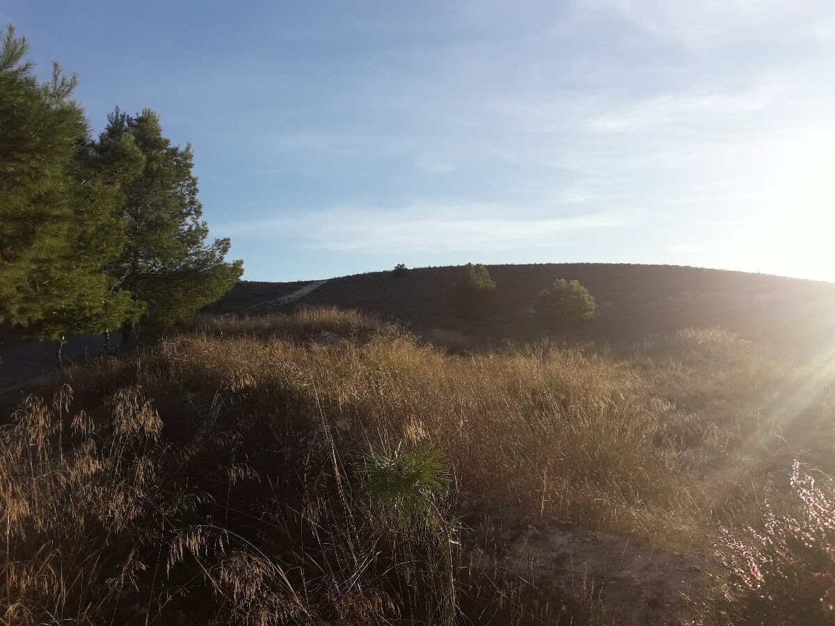 Land in Aspe, Alicante for sale Aerial- Image 1 of 5